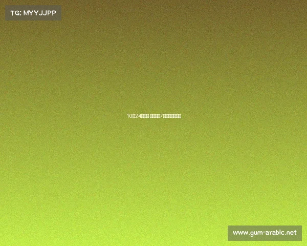 10月24日上市 宝马全新7系详细配置曝光