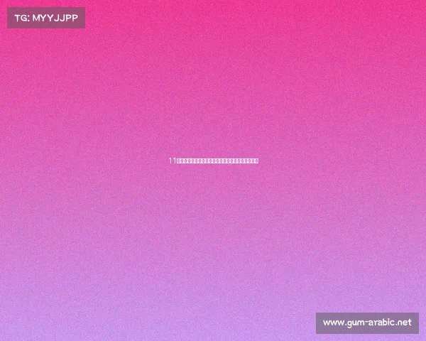 11款古董级摩托车回忆杀：哪款曾载你驶过热血青春？