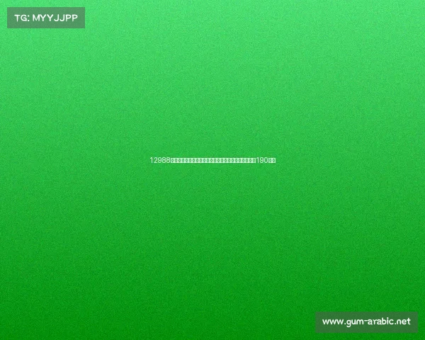 12988元！属于年轻人的新派运动自动挡巡航——赛科龙朋克190发布